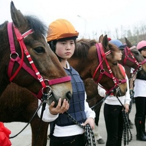 武漢建成全國首個高校練馬場 賽馬陪學生"上學"